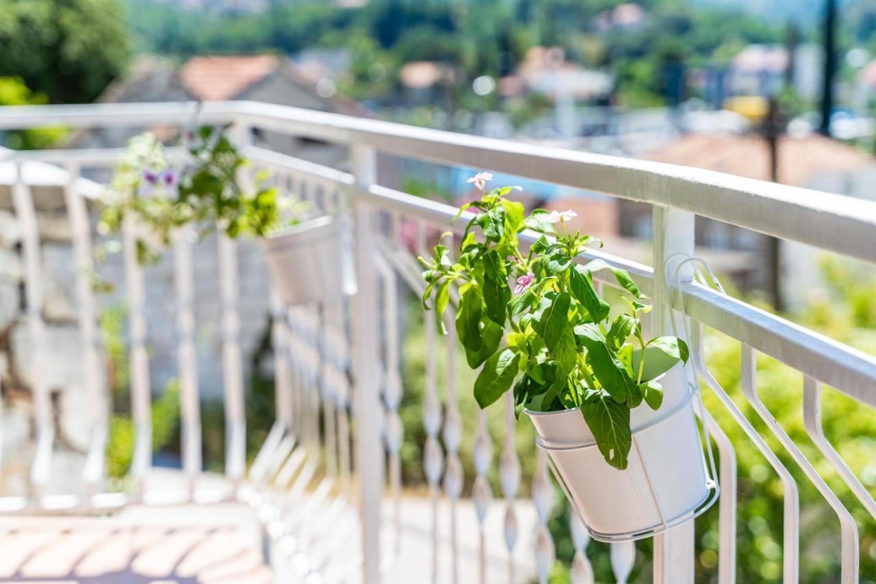 Apartment House Of Artichoke With Amazing Sea View, Dubrovnik Mokošica Exteriér fotografie