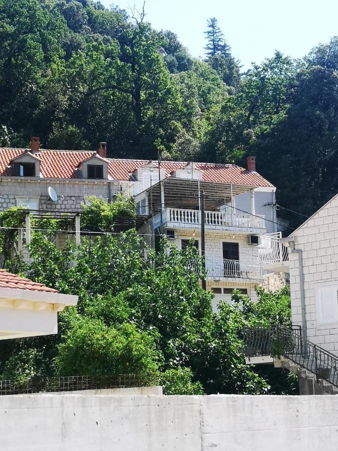Apartment House Of Artichoke With Amazing Sea View, Dubrovnik Mokošica Exteriér fotografie