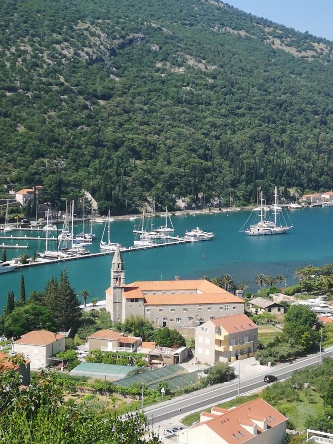 Apartment House Of Artichoke With Amazing Sea View, Dubrovnik Mokošica Exteriér fotografie
