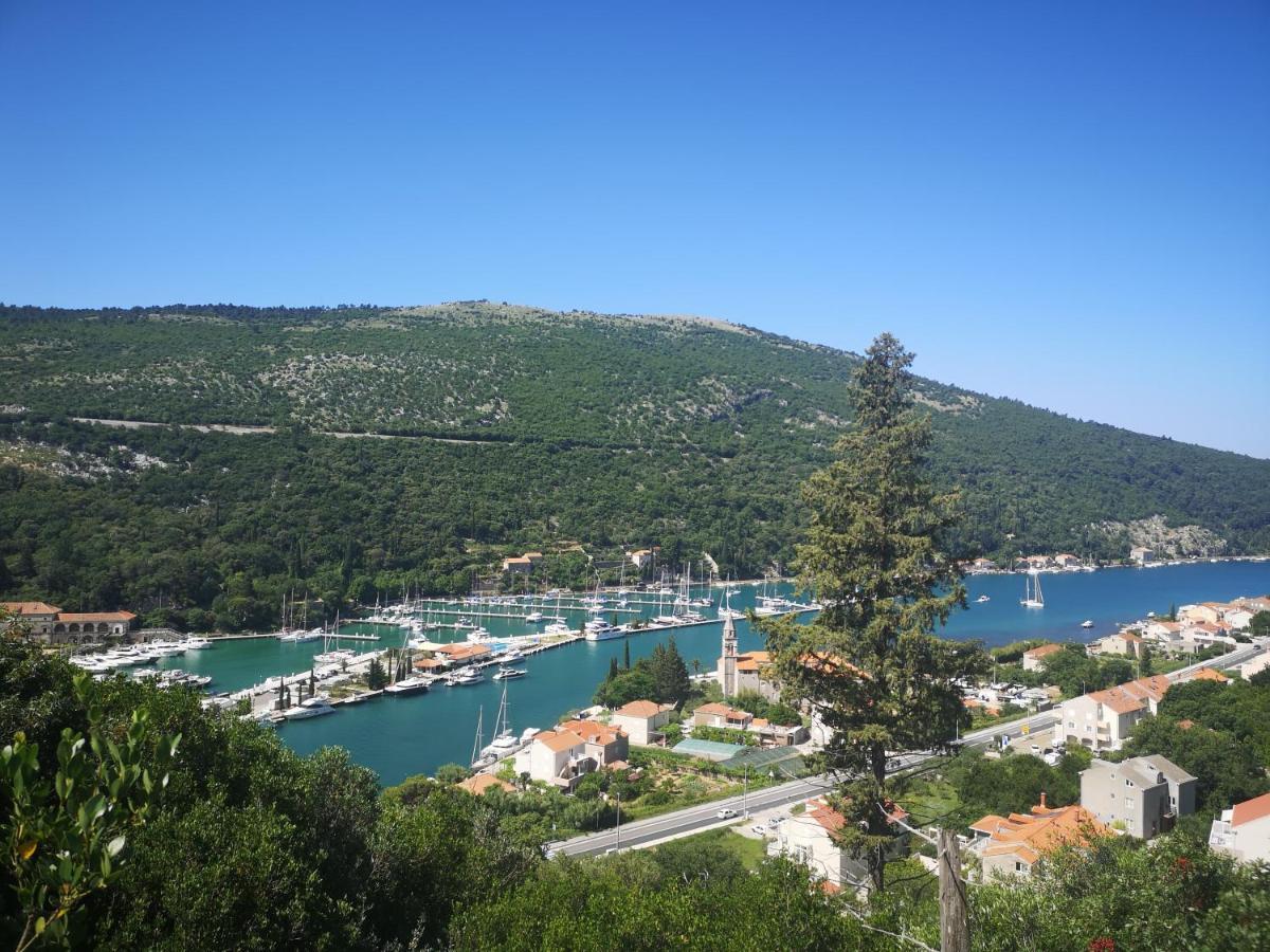 Apartment House Of Artichoke With Amazing Sea View, Dubrovnik Mokošica Exteriér fotografie